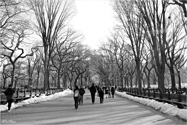 "...uno dei corridoi più famosi di Central Park."