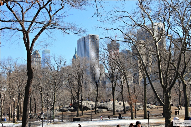 "Central Park".